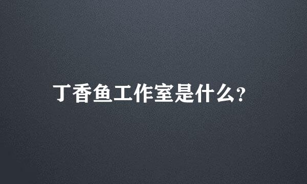 丁香鱼工作室是什么？