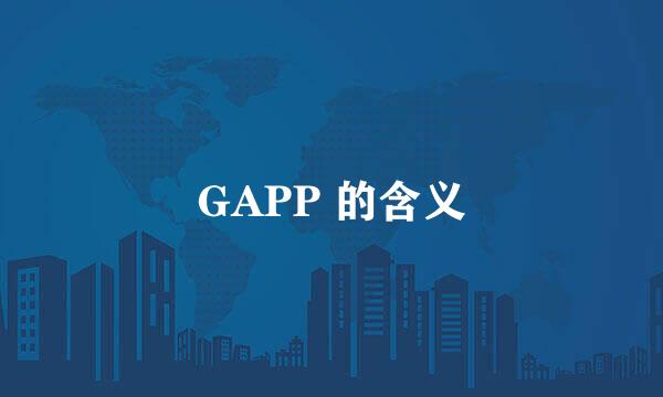 GAPP 的含义