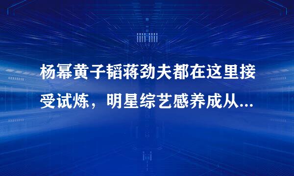 杨幂黄子韬蒋劲夫都在这里接受试炼，明星综艺感养成从《快本》开始