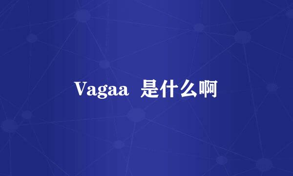 Vagaa  是什么啊