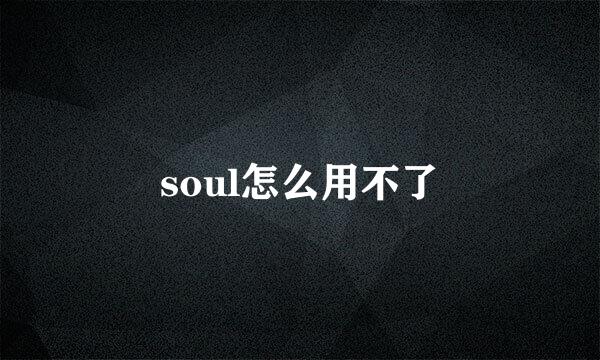 soul怎么用不了