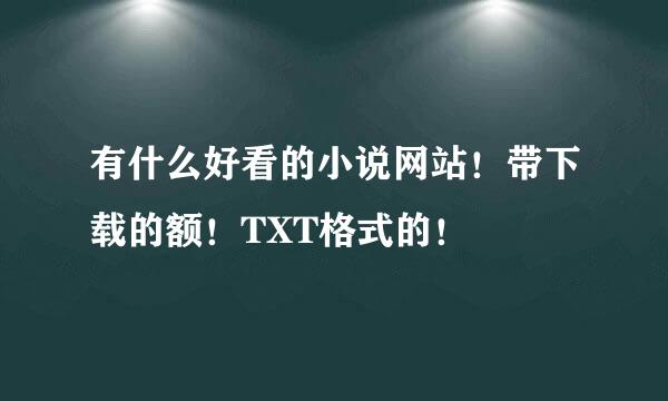 有什么好看的小说网站！带下载的额！TXT格式的！