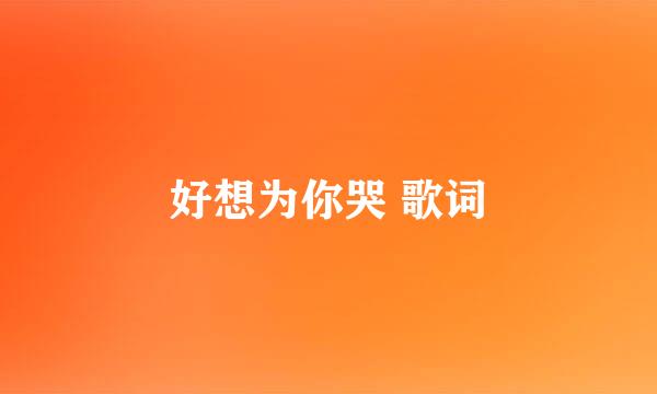 好想为你哭 歌词