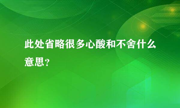 此处省略很多心酸和不舍什么意思？