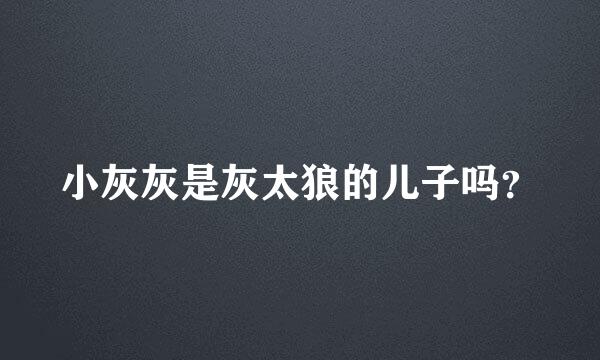 小灰灰是灰太狼的儿子吗？