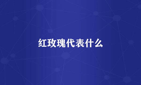 红玫瑰代表什么