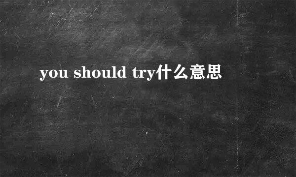 you should try什么意思