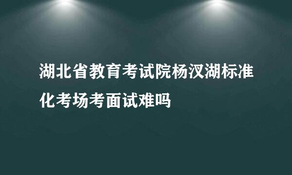 湖北省教育考试院杨汊湖标准化考场考面试难吗