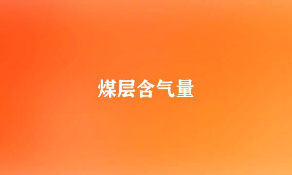 煤层含气量