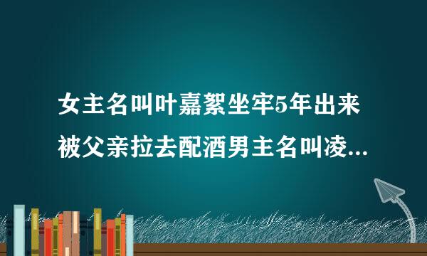 女主名叫叶嘉絮坐牢5年出来被父亲拉去配酒男主名叫凌哲小说？