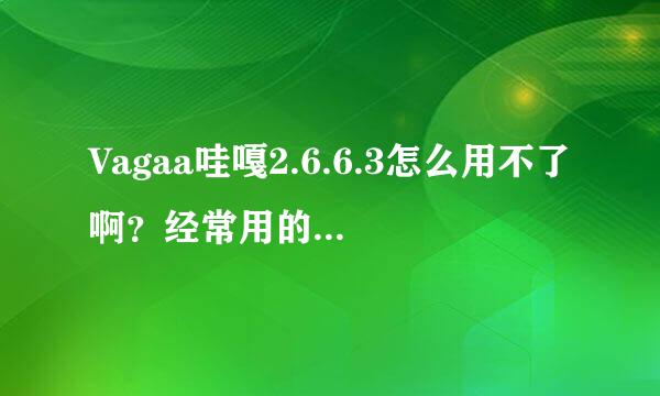 Vagaa哇嘎2.6.6.3怎么用不了啊？经常用的大哥们帮我一下啊？