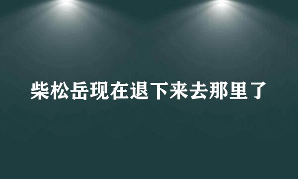 柴松岳现在退下来去那里了