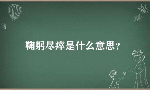 鞠躬尽瘁是什么意思？