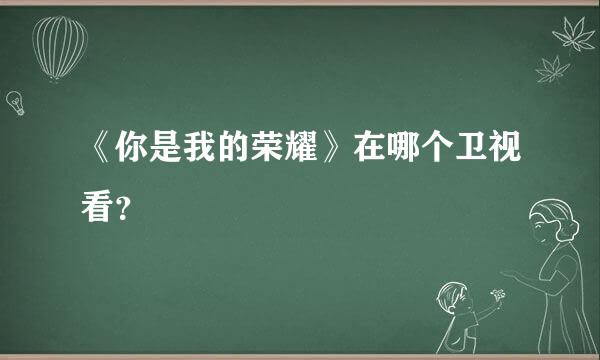 《你是我的荣耀》在哪个卫视看？