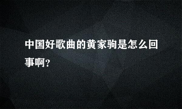 中国好歌曲的黄家驹是怎么回事啊？