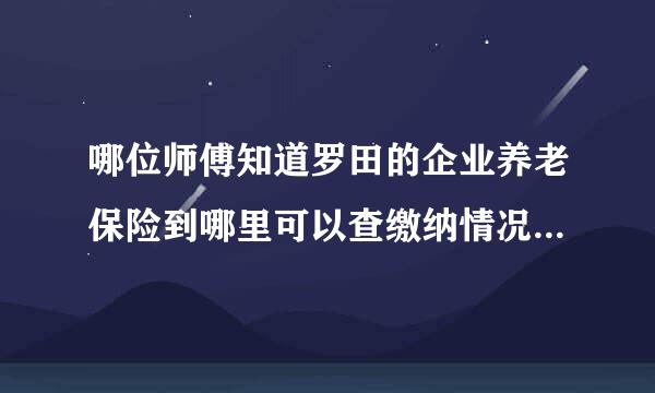 哪位师傅知道罗田的企业养老保险到哪里可以查缴纳情况，有专门的网站吗？