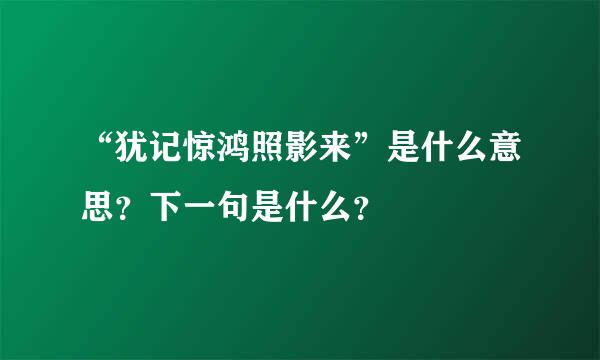 “犹记惊鸿照影来”是什么意思？下一句是什么？