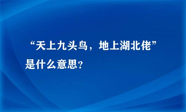 “天上九头鸟，地上湖北佬”是什么意思？