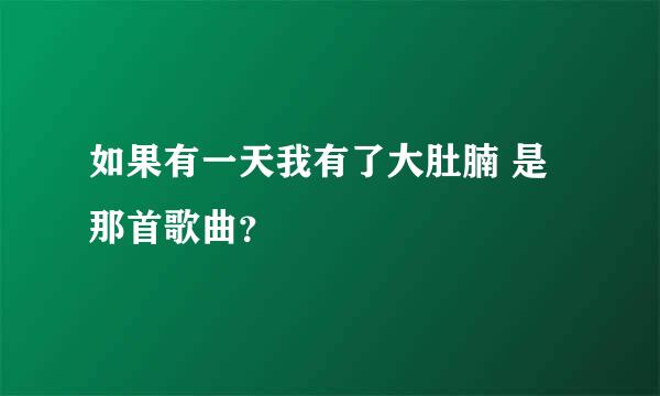 如果有一天我有了大肚腩 是那首歌曲？