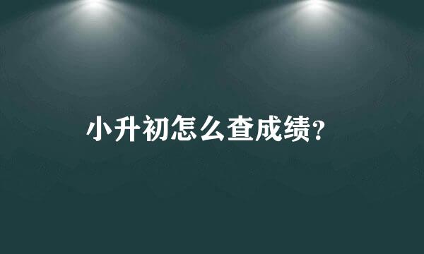 小升初怎么查成绩？