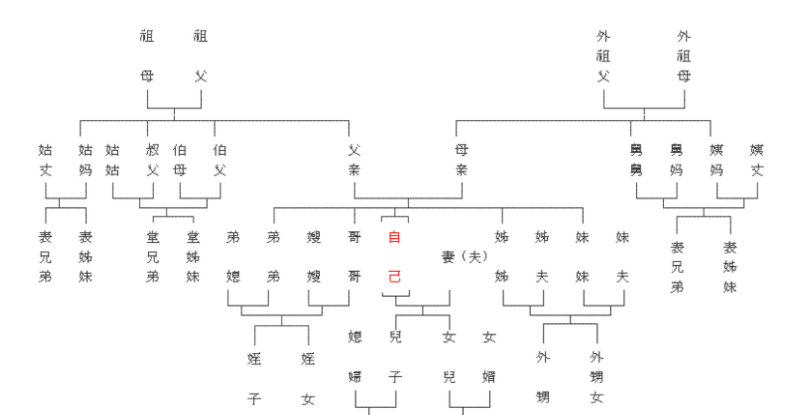 嫡系和直系区别是什么?