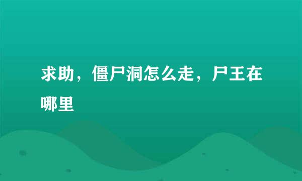 求助，僵尸洞怎么走，尸王在哪里