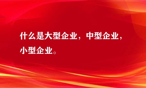 什么是大型企业，中型企业，小型企业。