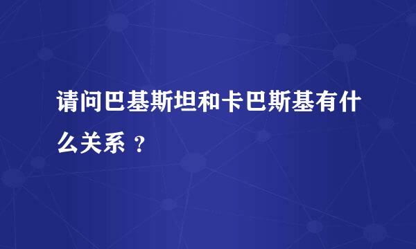 请问巴基斯坦和卡巴斯基有什么关系 ？