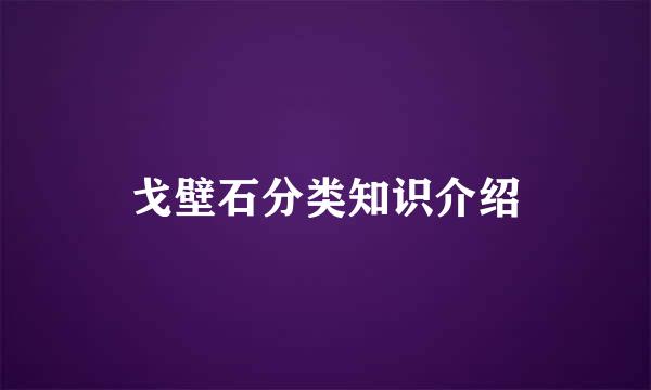 戈壁石分类知识介绍