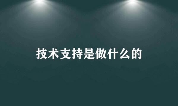 技术支持是做什么的