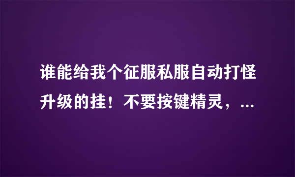 谁能给我个征服私服自动打怪升级的挂！不要按键精灵，不好用，知道的给个好用的~~谢谢