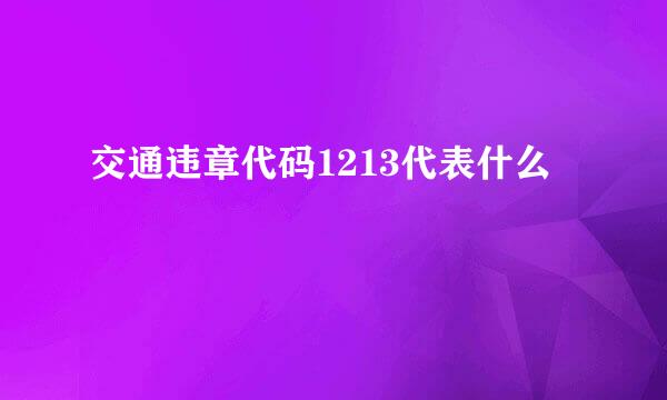 交通违章代码1213代表什么