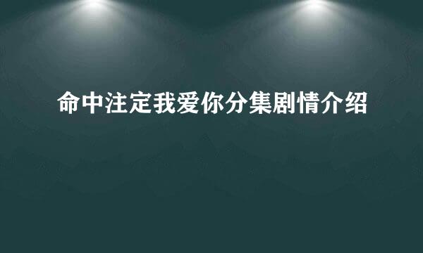 命中注定我爱你分集剧情介绍