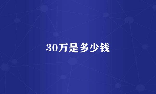 30万是多少钱