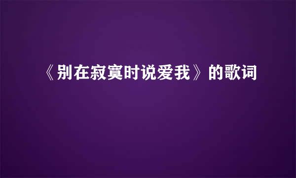 《别在寂寞时说爱我》的歌词