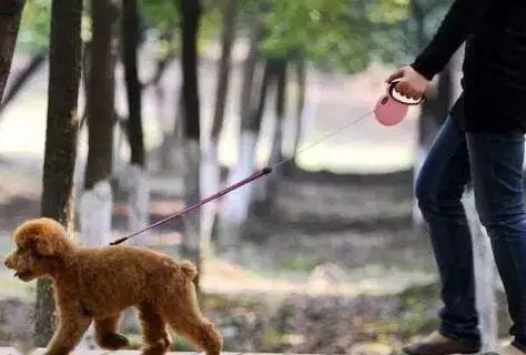 湖北一女子跳楼去世，曾与邻居发生纷争，你如何看待这件事？