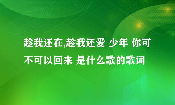 趁我还在,趁我还爱 少年 你可不可以回来 是什么歌的歌词