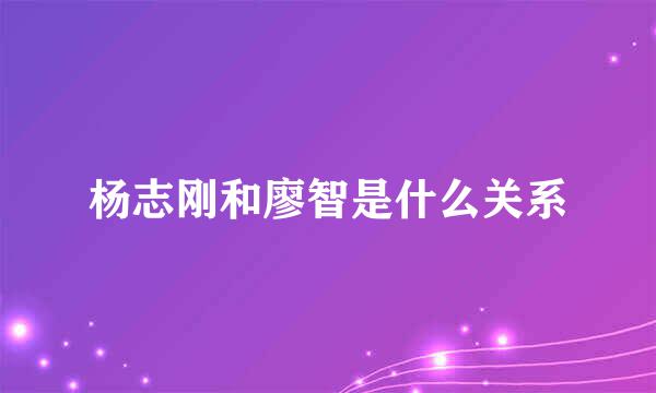 杨志刚和廖智是什么关系