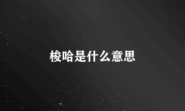 梭哈是什么意思