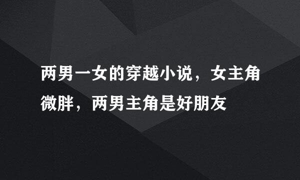 两男一女的穿越小说，女主角微胖，两男主角是好朋友