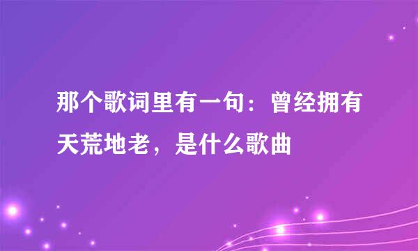 那个歌词里有一句：曾经拥有天荒地老，是什么歌曲