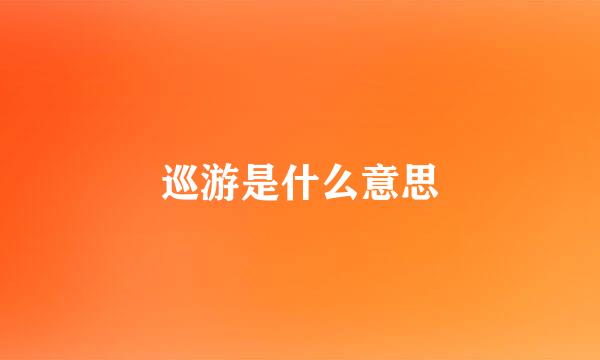 巡游是什么意思