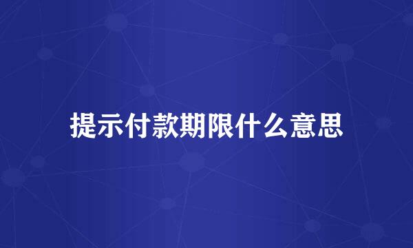 提示付款期限什么意思