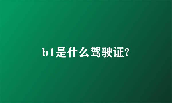 b1是什么驾驶证?