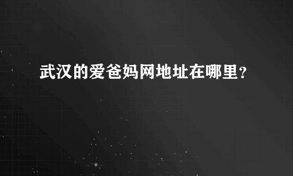 武汉的爱爸妈网地址在哪里？