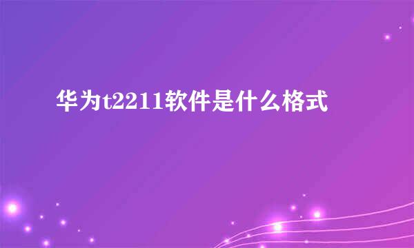 华为t2211软件是什么格式