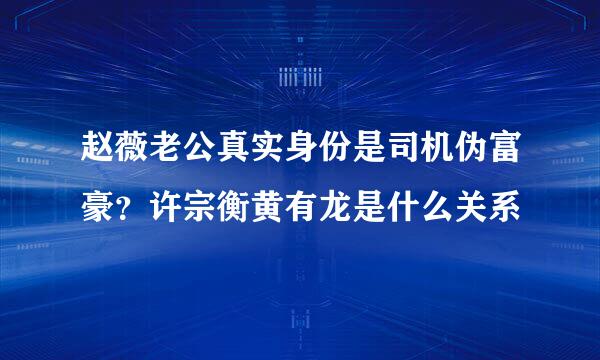 赵薇老公真实身份是司机伪富豪？许宗衡黄有龙是什么关系