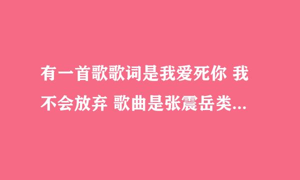 有一首歌歌词是我爱死你 我不会放弃 歌曲是张震岳类型的 男生唱的