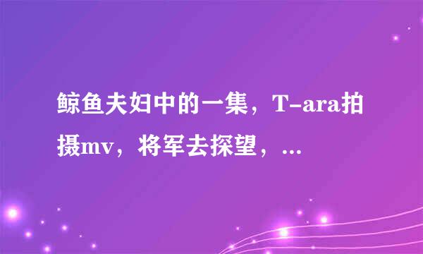 鲸鱼夫妇中的一集，T-ara拍摄mv，将军去探望，出来后还说一大早从ktv里出来