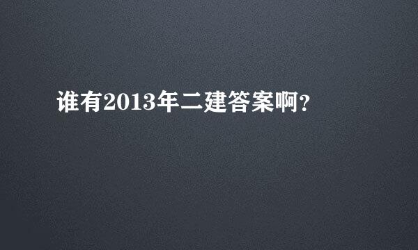 谁有2013年二建答案啊？